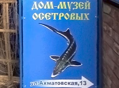 Музей осетровых в Астрахани