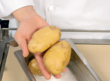 Трансгенный картофель - самый лучший картофель? 