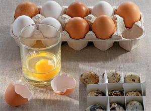 Яйца в кулинарии: Домашний майонез, льезон, яйцо-пашот. Свежесть яиц