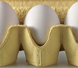 Яйца: Виды яиц, способы варки яиц, яйца-пашот, яичница. омлет