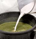Фото приготовления рецепта: Шелковистый суп со щавелем и черемшой, шаг №5