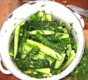 Салат из огурцов, чеснока и зелени (малосольные огурцы)