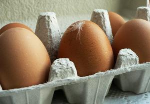 Все о куриных яйцах. Маркировка, весовая категория, диетические и столовые яйца