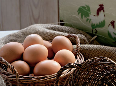 В США запрещают продавать яйца 