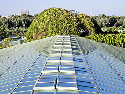 Берлинцы выращивают овощи на крышах домов 