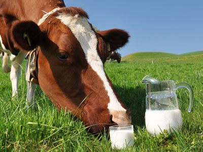 Молоко растительного происхождения