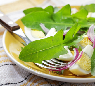 Рецепт Салат из листьев одуванчика