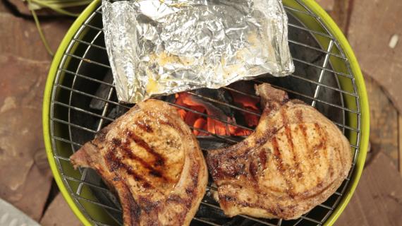 100 лучших рецептов для пикника: шашлыки, гриль, барбекю