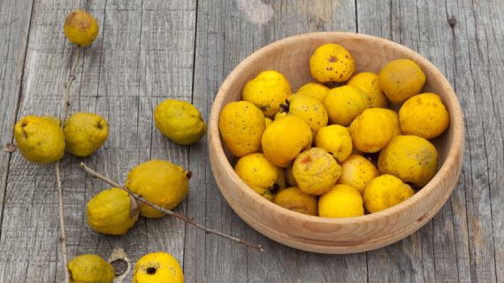 Кустарник с желтыми плодами похожими на лимон фото и название