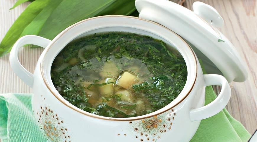 Рецепт Овощной суп с черемшой