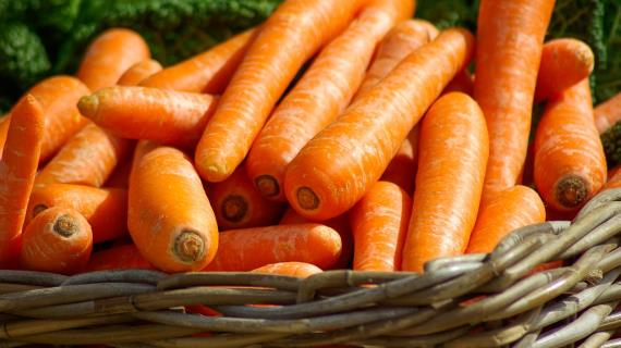 Блюда с морковью
