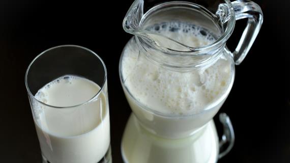 Заменители молока: кедровое молоко, маковое молоко, конопляное молоко, миндальное молоко, рисовое молоко, овсяное молоко, кокосовое молоко, соевое молоко, орчата