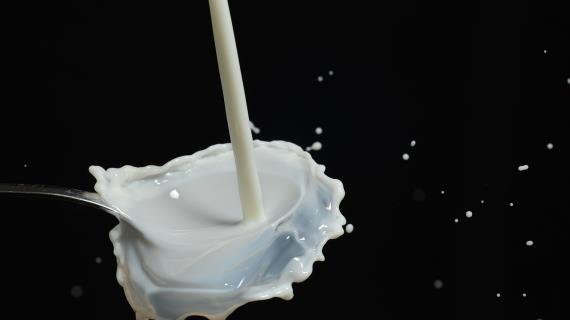Молоко: Виды молока, производство и хранение молока,  польза и вред молока