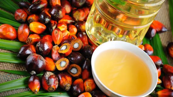 пальмовое масло - рецепты, статьи на Gastronom.ru