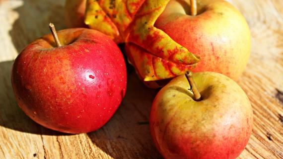 Совет дня: ешьте яблоки против мигрени