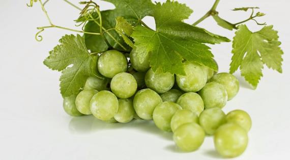 Белый налёт на винограде — что это такое на самом деле?