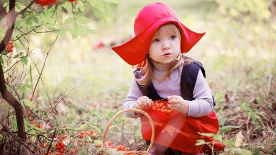 Детский праздник "Красная шапочка"
