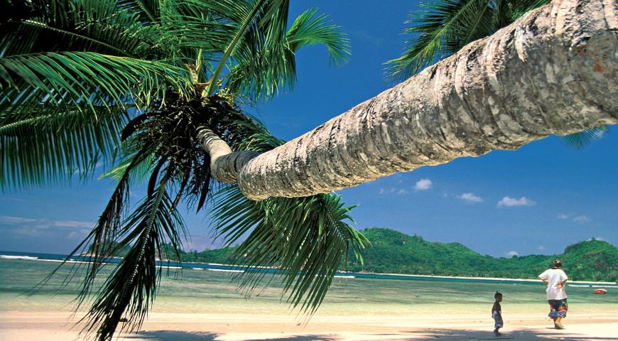 Где побывать и что попробовать: Сейшельские острова