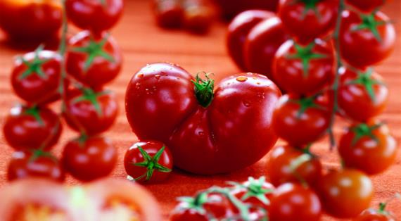 Помидор или томат? Как правильно называть этот овощ