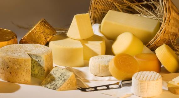 50 тонн сыра привезут в Москву на "Сырные дни"