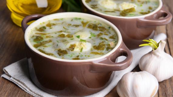 Щавелевый суп. Как приготовить щавелевый суп