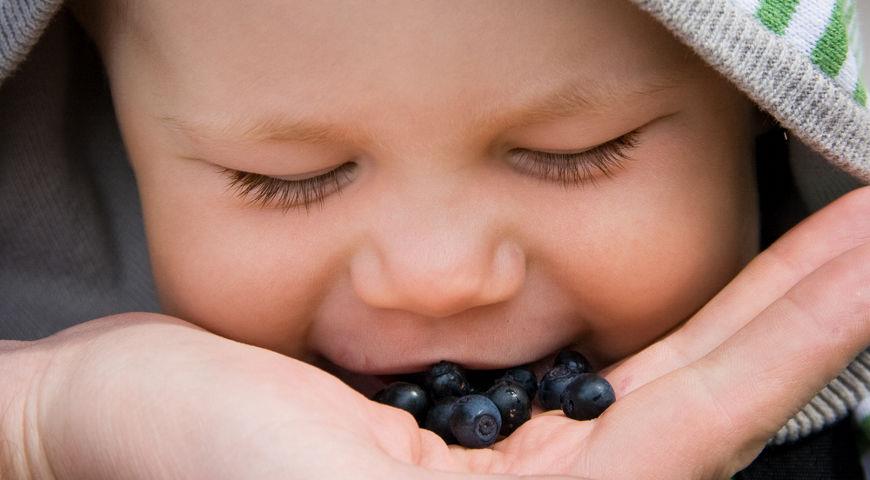 Ребенок 1 год 2 месяца ягоды
