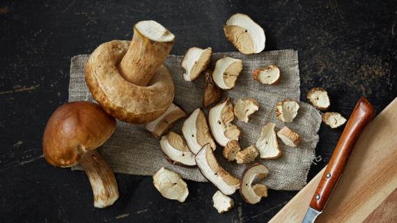 Как сушить белые грибы, подосиновики и подберезовики