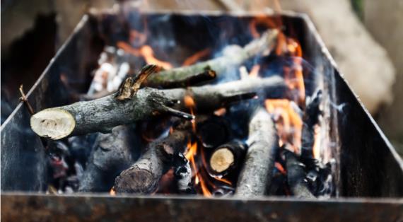 Собираемся на шашлыки: какие дрова лучше и что делать с углями