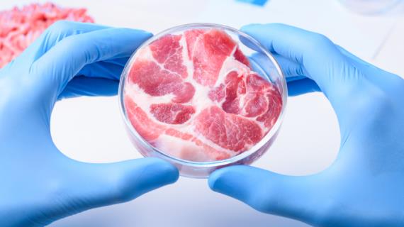 Ученые сделали мясо из пластиковой пленки