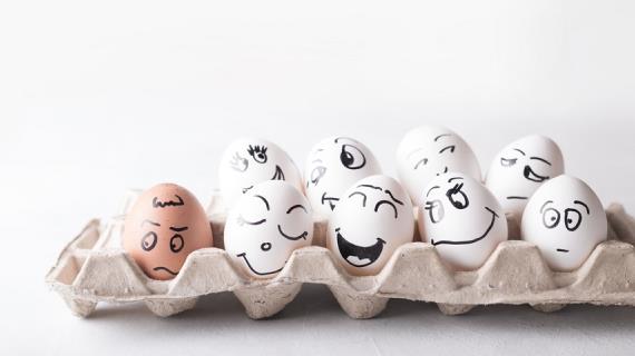 Сколько яиц нужно для счастья