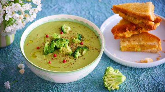 Супы из брокколи, подборка рецептов