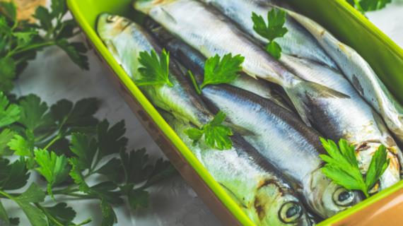Как просто и вкусно приготовить рыбную мелочь: сайру и салаку