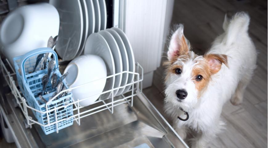 Можно ли самовар мыть в посудомоечной машине
