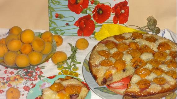 Творожный пирог с черешней и абрикосами