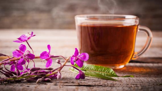 Иван-чай: русская подделка китайского чая или полезное изобретение?
