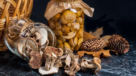 Мини-энциклопедия приготовления белых грибов: сушим, солим, маринуем, готовим домашнюю лапшу и жюльен