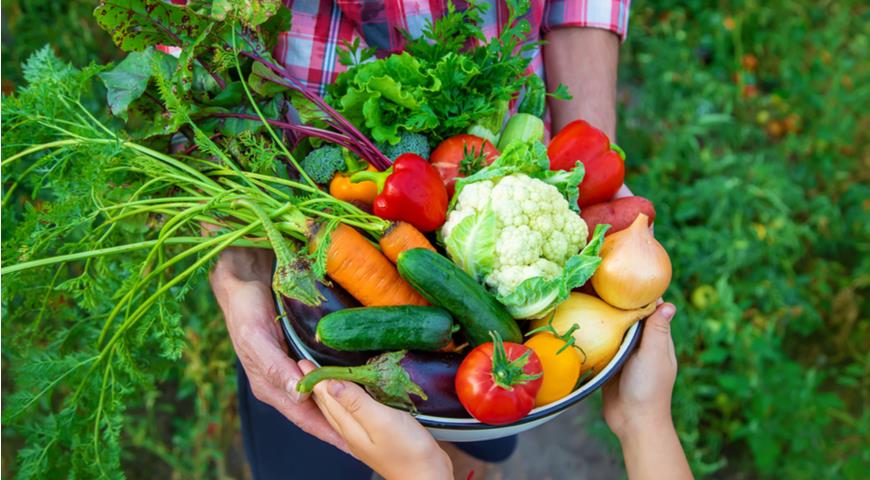 Готовим свежие овощи без ошибок