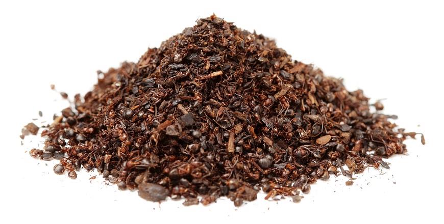 Зачем китайцы пьют чай из муравьев и нам советуют?