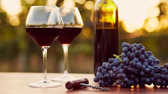 Чем отличаются друг от друга биодинамические, органические и натуральные вина. И стоит ли их покупать