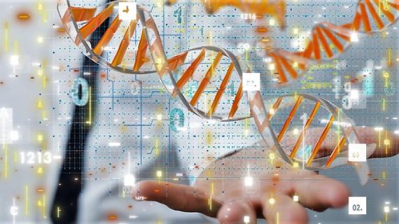 Честные ответы врача-генетика на 20 вопросов о связи генетики и питания