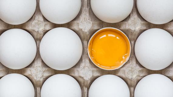 Какие яйца самые полезные и как их лучше приготовить