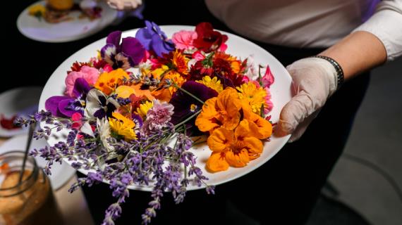 Топ 12 съедобных садовых цветов для вашего стола