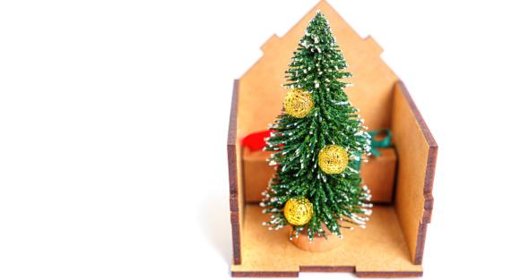 Как выбрать новогоднюю елку для дома, учитывая размер квартиры и еще 2 фактора