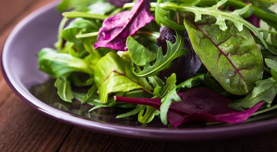 Зеленая польза: как выбрать, хранить и готовить салатные листья