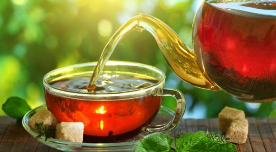 Врач-диетолог Гинзбург рассказал, как приготовить чай против стресса и тревоги