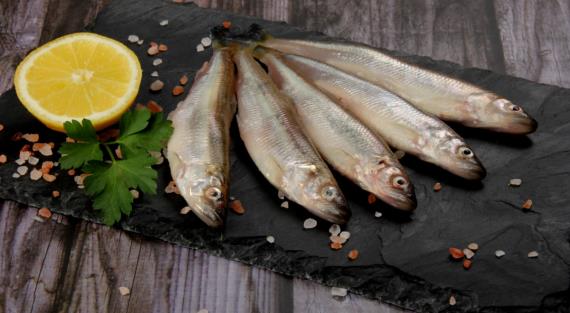 Аромат петербургской свежести: кого привлекут духи с запахом свежей рыбы