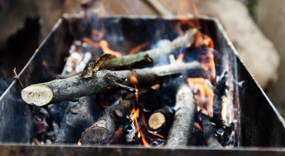 Собираемся на шашлыки: какие дрова лучше и что делать с углями