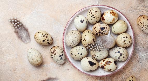 Перепелиные яйца: действительно ли они так полезны, как считается