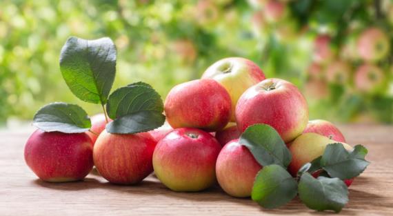 Польза и вред яблок: как правильно выбрать и сколько можно съесть