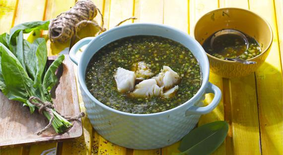 Рецепты блюд из свежего щавеля – не только суп!